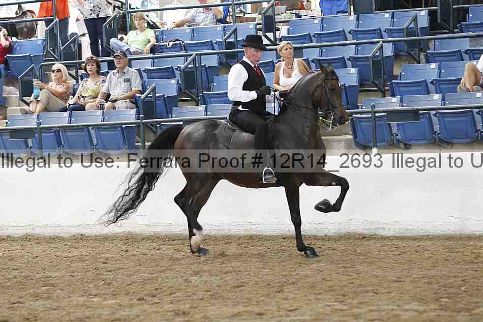 Proof Number 12r14_2693
