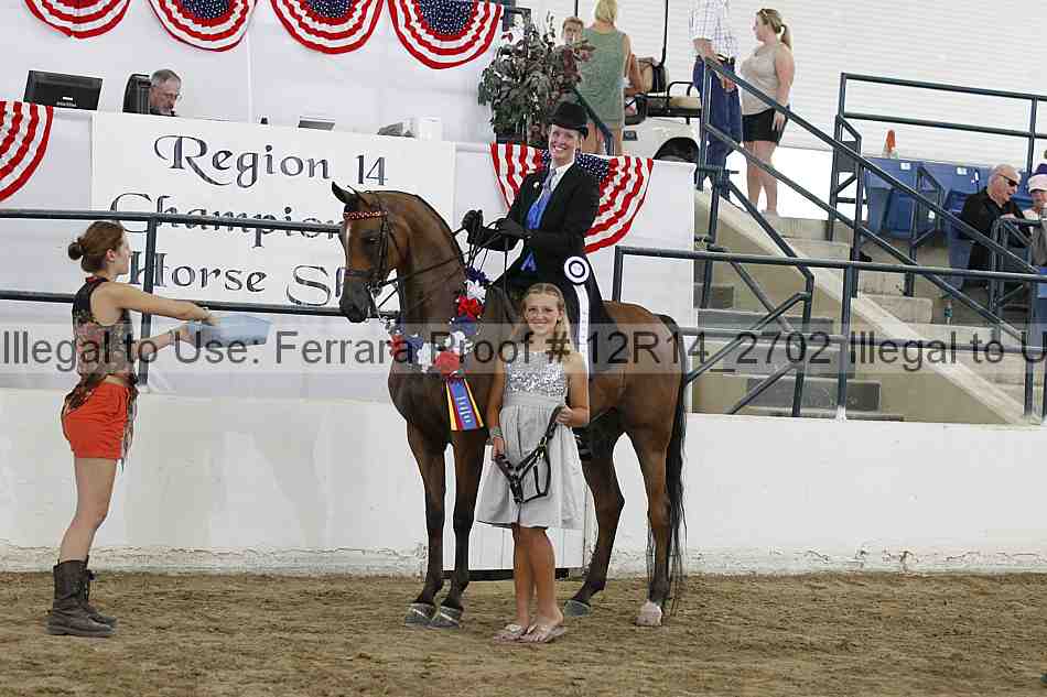 Proof Number 12r14_2702
