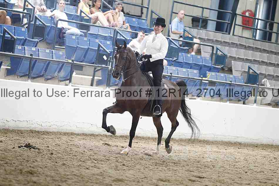 Proof Number 12r14_2704