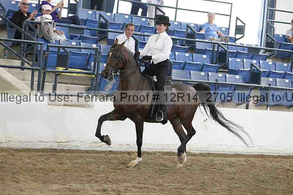 Proof Number 12r14_2705