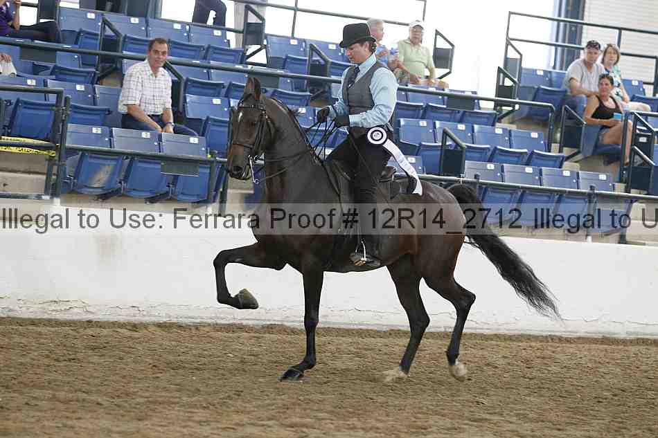 Proof Number 12r14_2712