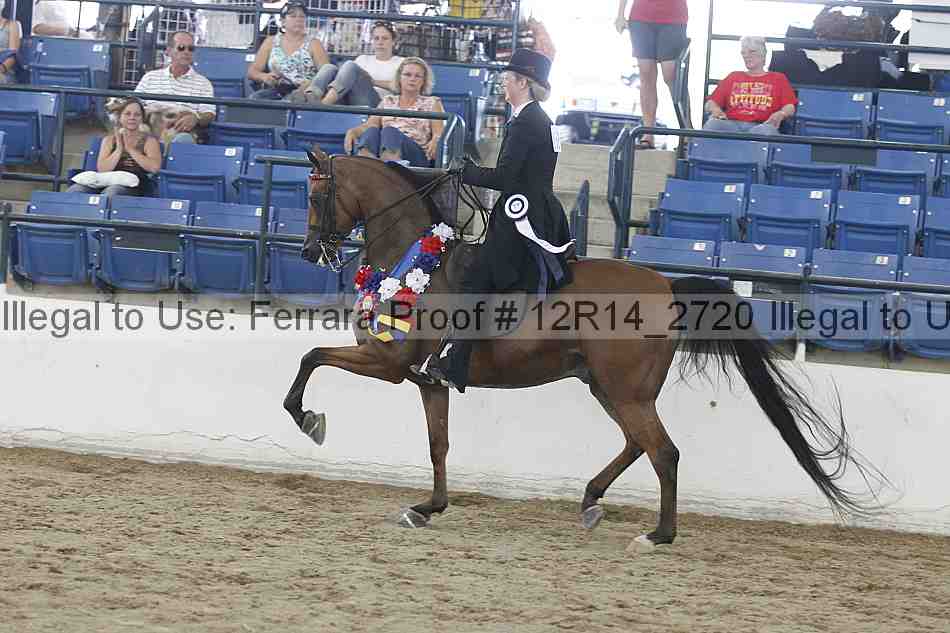 Proof Number 12r14_2720