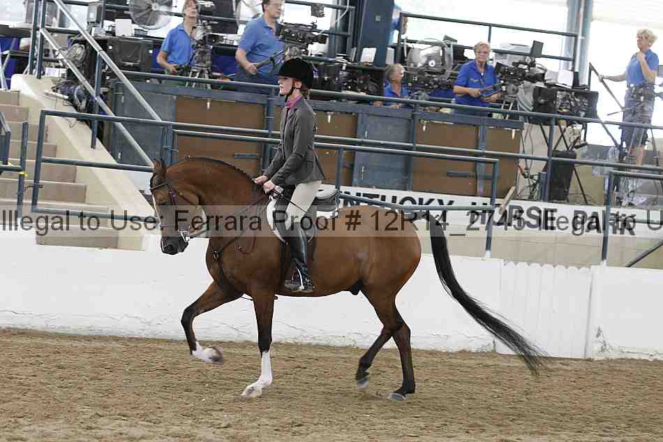 Proof Number 12r14_2745