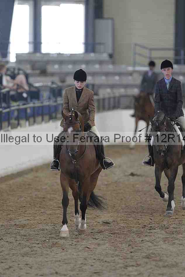 Proof Number 12r14_2760