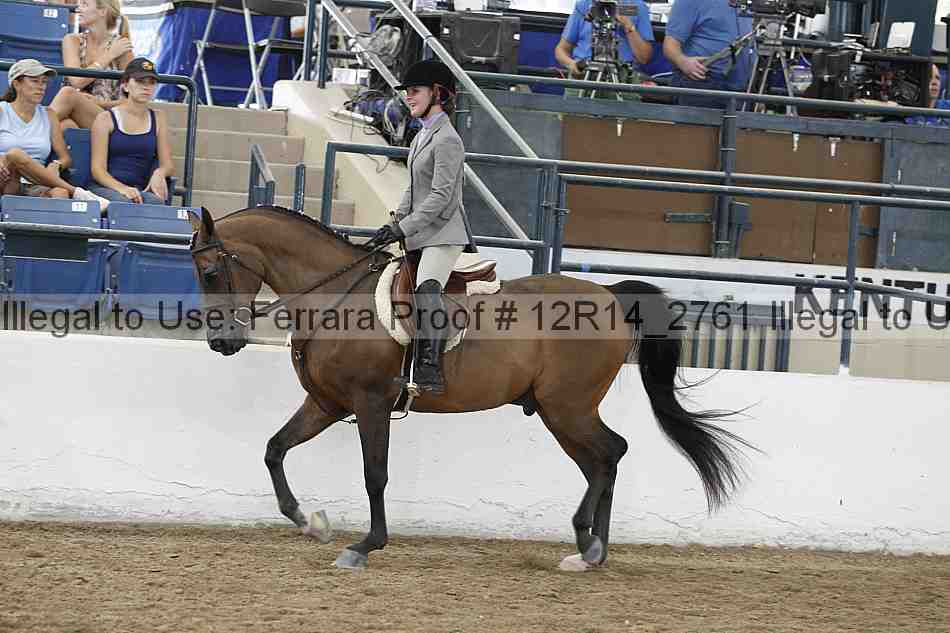 Proof Number 12r14_2761