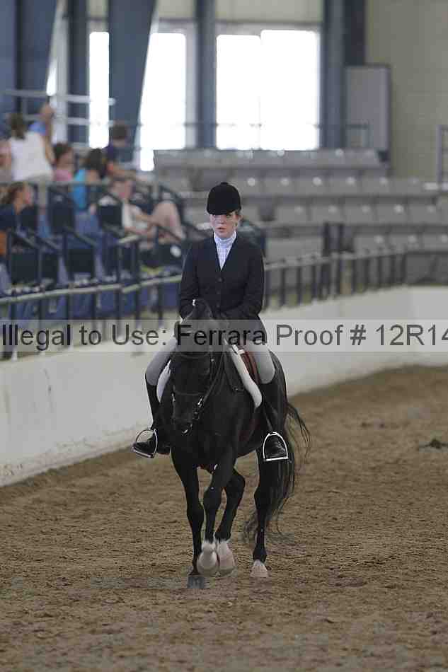 Proof Number 12r14_2765