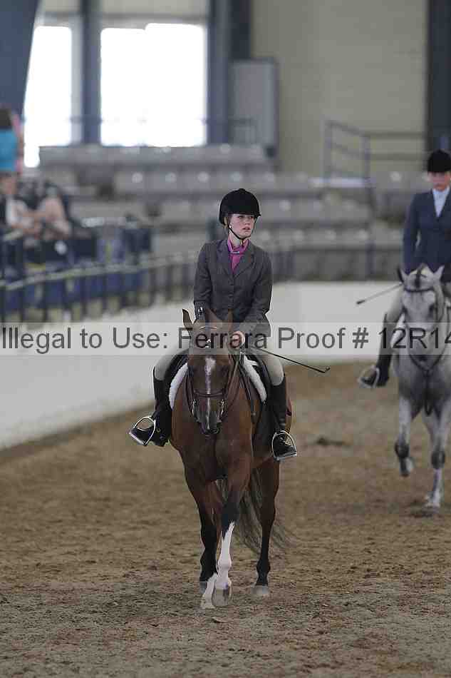 Proof Number 12r14_2766