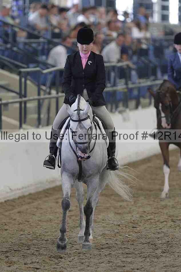 Proof Number 12r14_2768