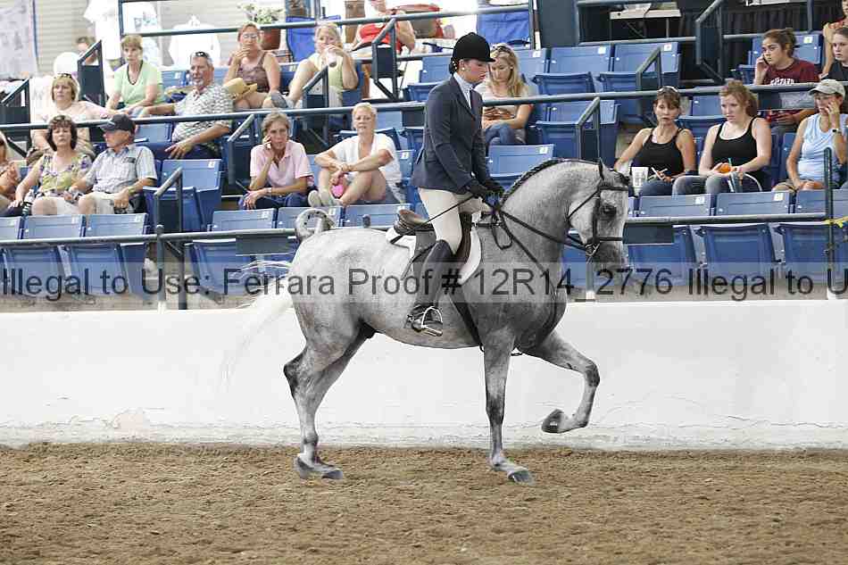 Proof Number 12r14_2776