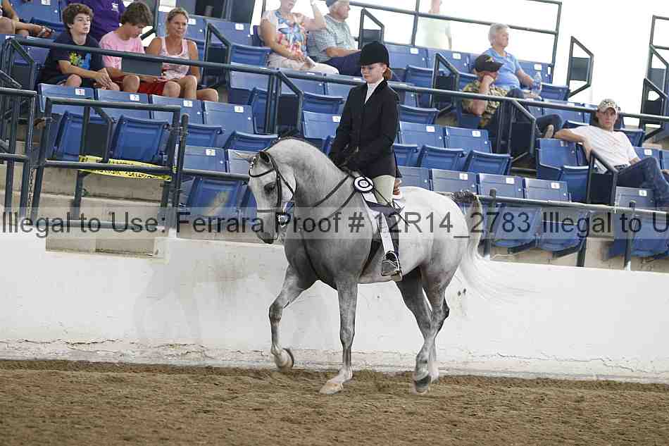 Proof Number 12r14_2783
