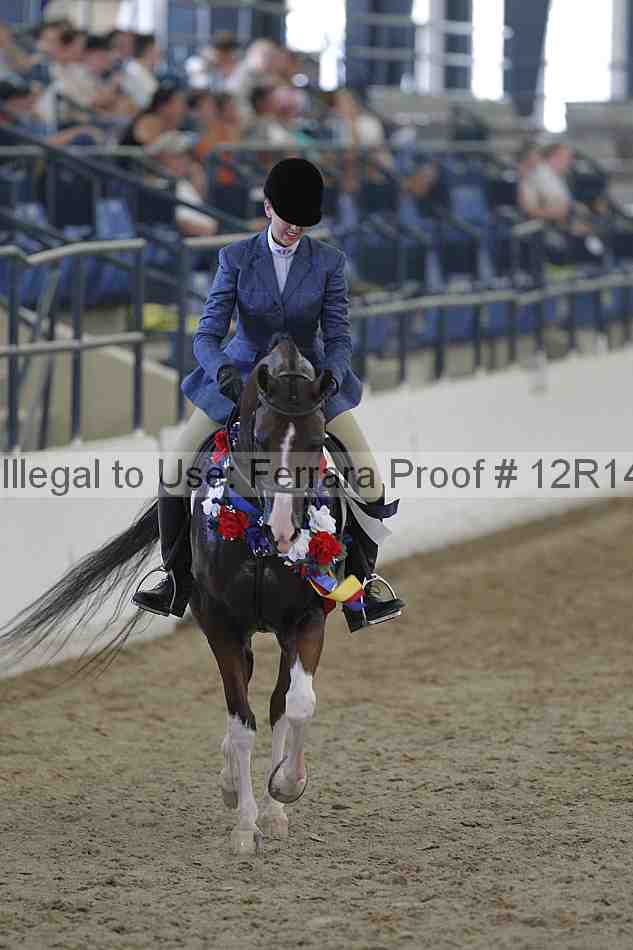 Proof Number 12r14_2785
