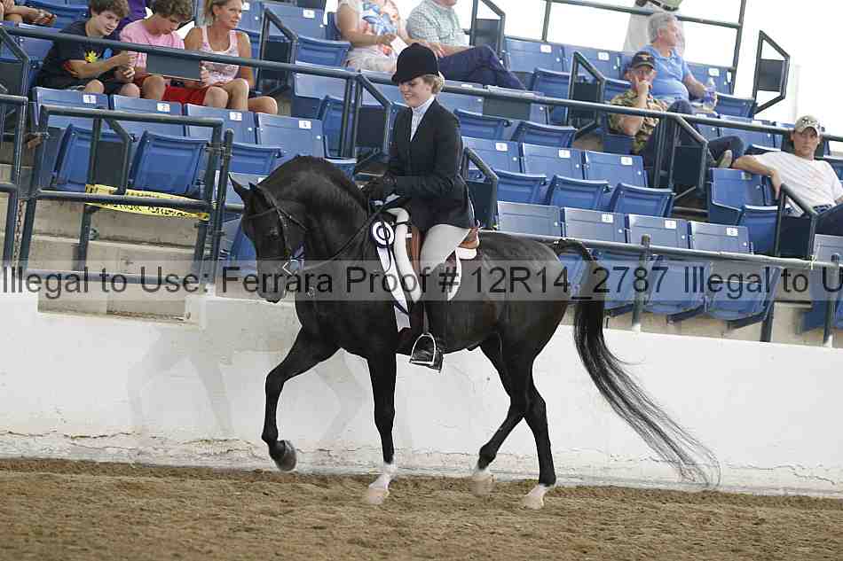 Proof Number 12r14_2787