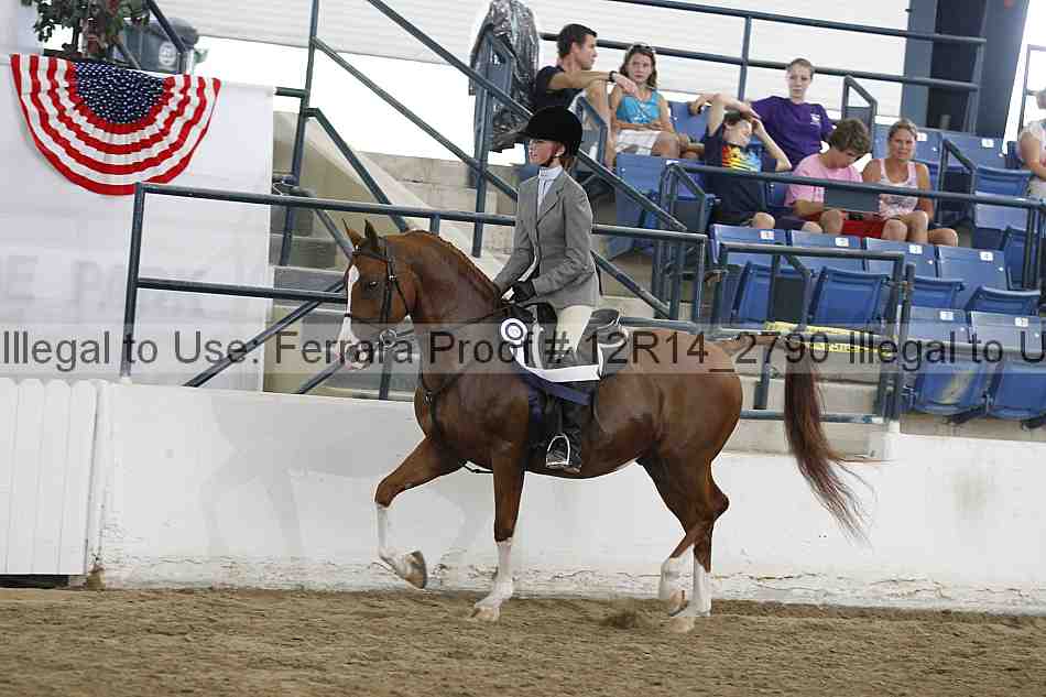 Proof Number 12r14_2790