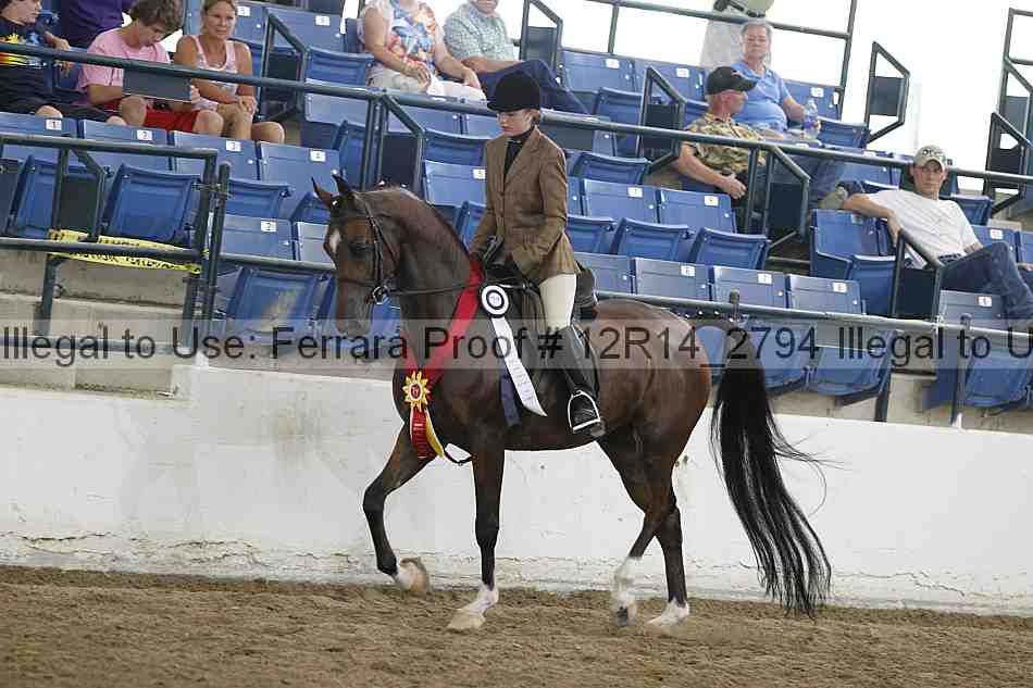 Proof Number 12r14_2794