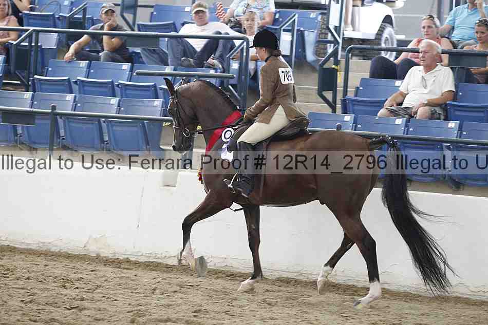 Proof Number 12r14_2796