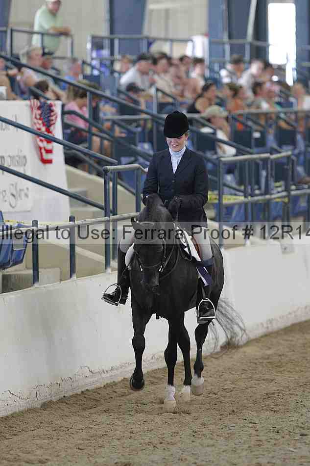 Proof Number 12r14_2800