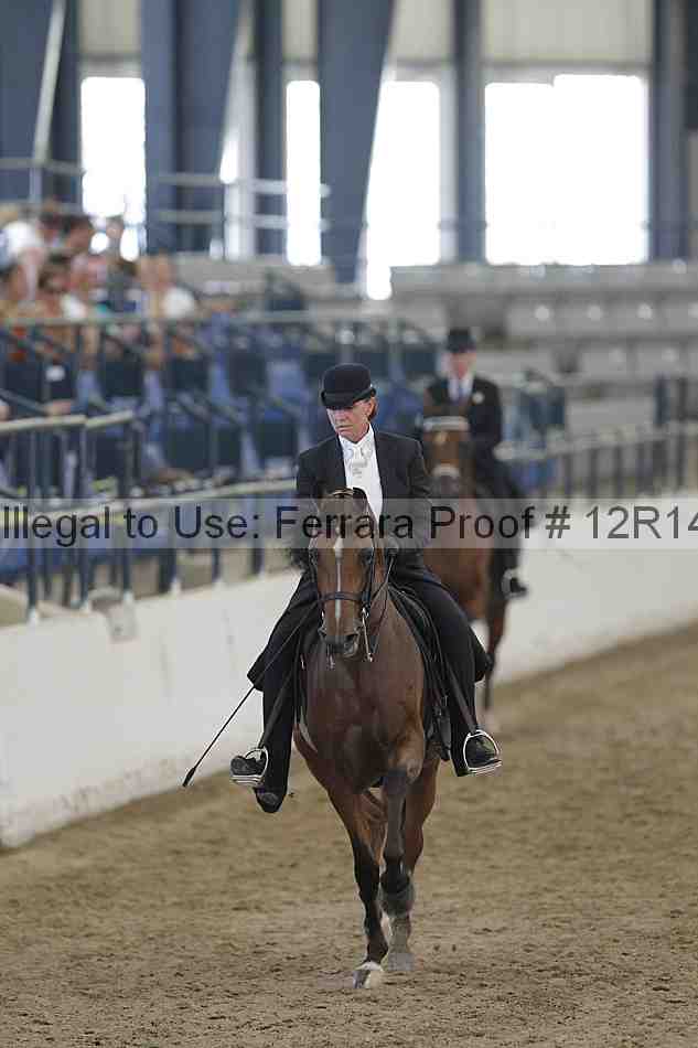 Proof Number 12r14_2825