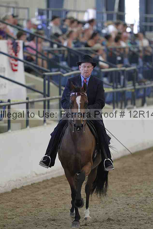 Proof Number 12r14_2833