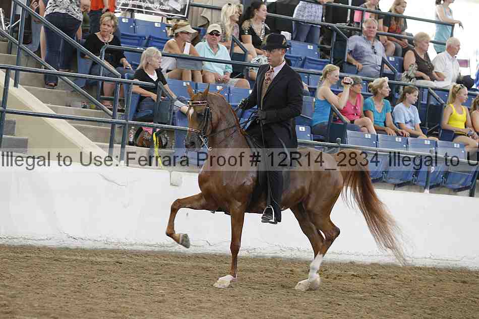 Proof Number 12r14_2834