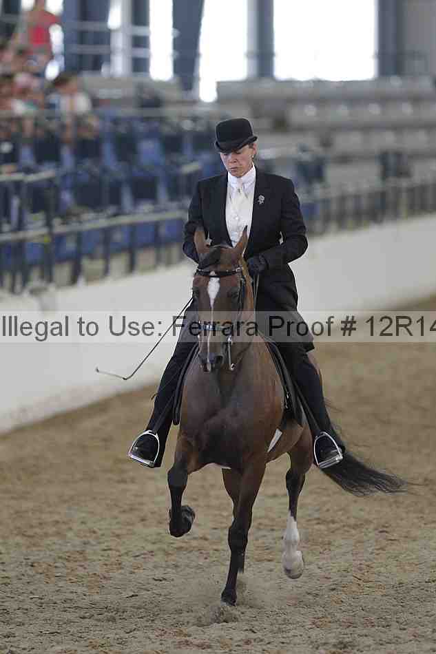 Proof Number 12r14_2835
