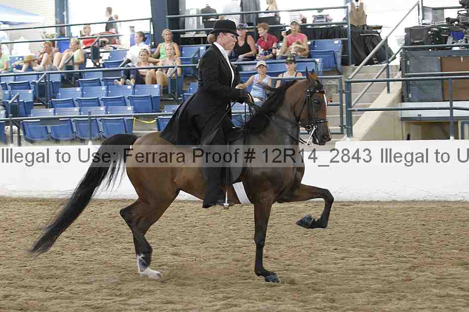 Proof Number 12r14_2843