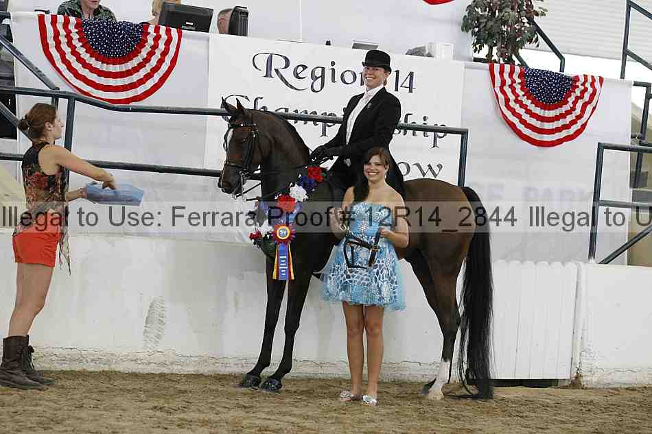 Proof Number 12r14_2844