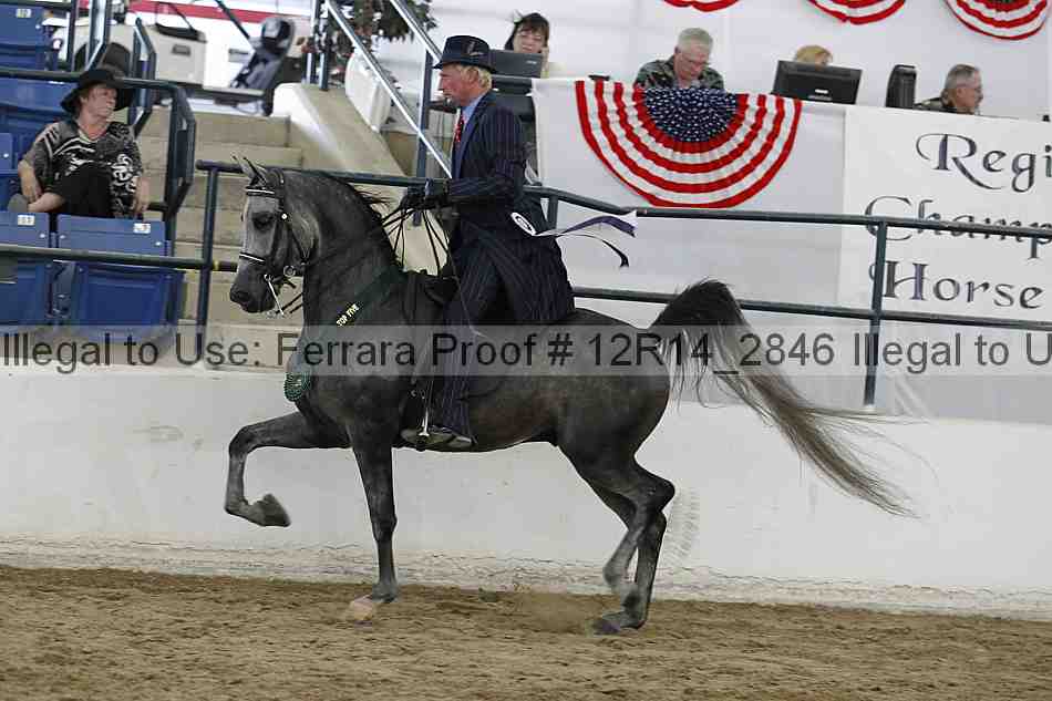 Proof Number 12r14_2846