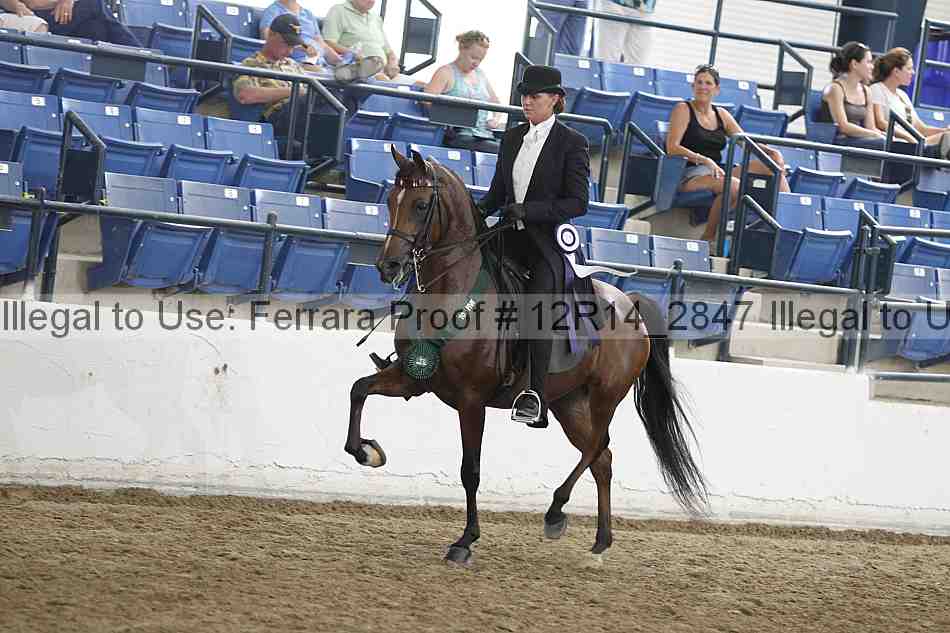 Proof Number 12r14_2847