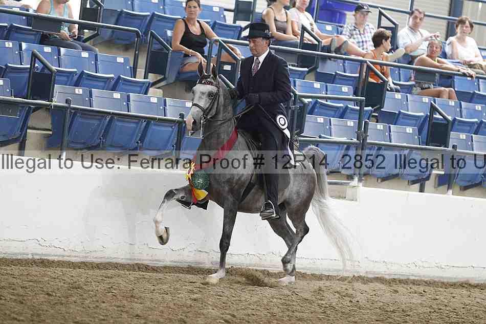 Proof Number 12r14_2852
