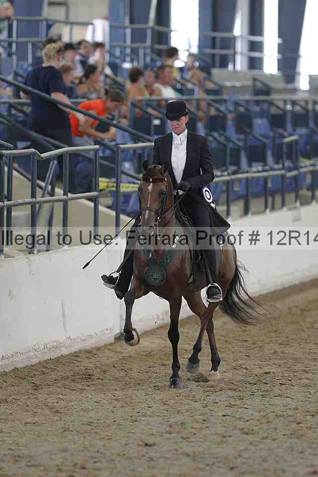 Proof Number 12r14_2855