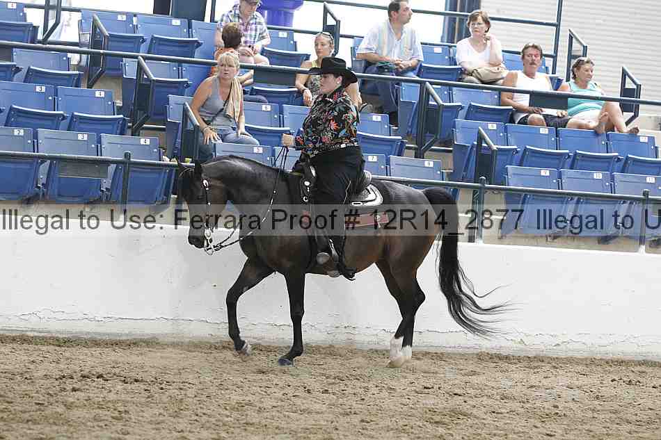 Proof Number 12r14_2877