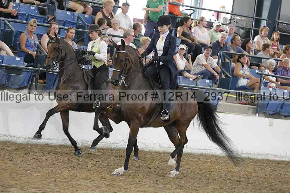 Proof Number 12r14_2937
