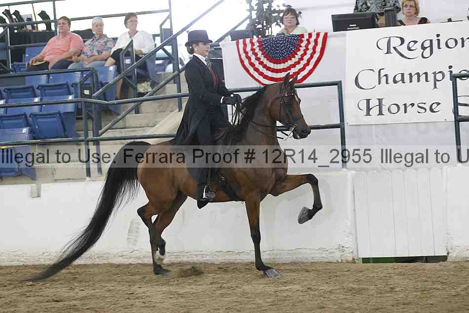 Proof Number 12r14_2955