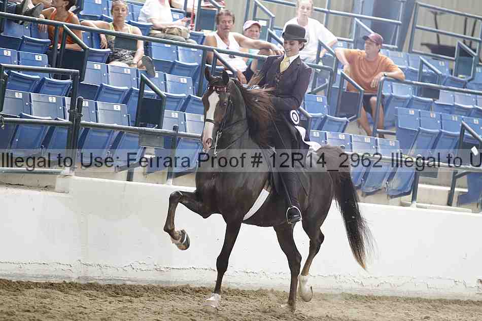Proof Number 12r14_2962
