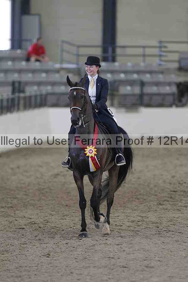 Proof Number 12r14_2963