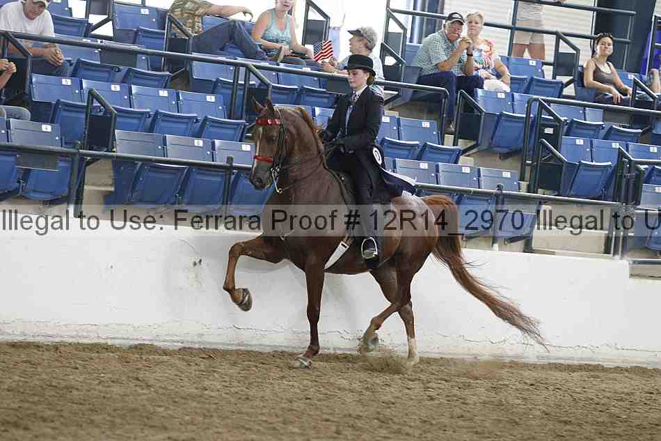 Proof Number 12r14_2970