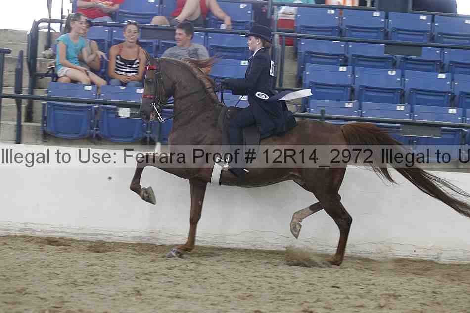 Proof Number 12r14_2972