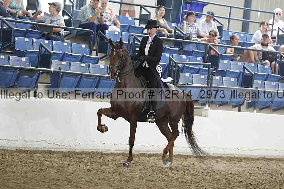 Proof Number 12r14_2973