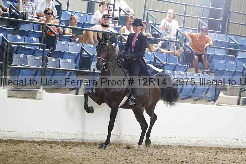 Proof Number 12r14_2975