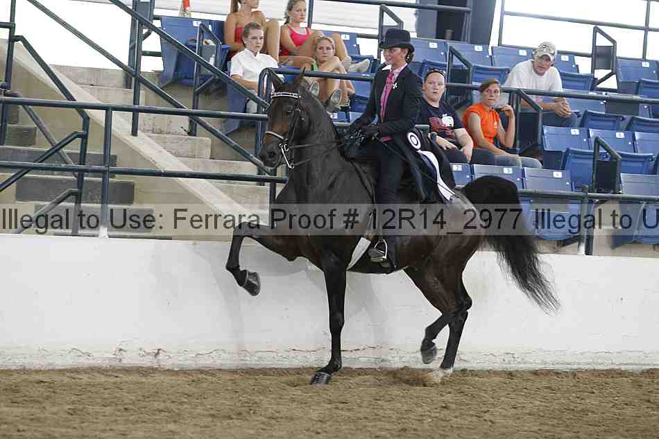 Proof Number 12r14_2977