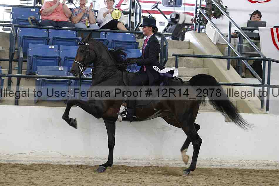 Proof Number 12r14_2978