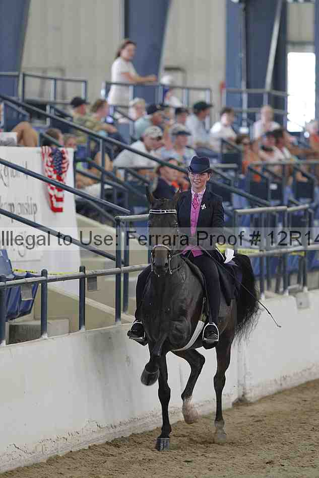 Proof Number 12r14_2985