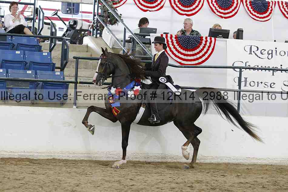 Proof Number 12r14_2988