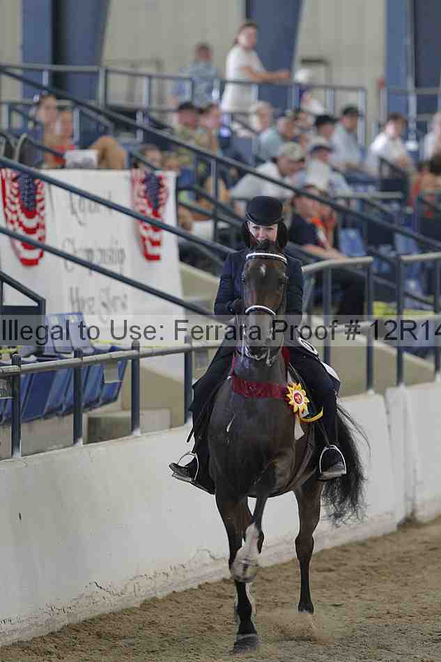 Proof Number 12r14_2989