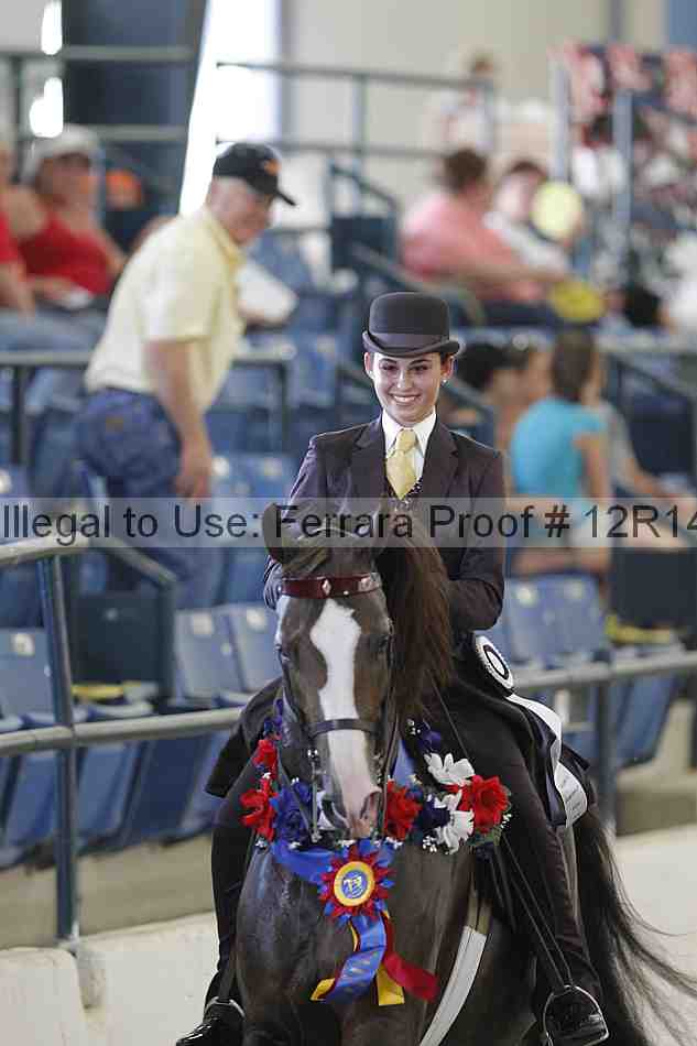 Proof Number 12r14_2994