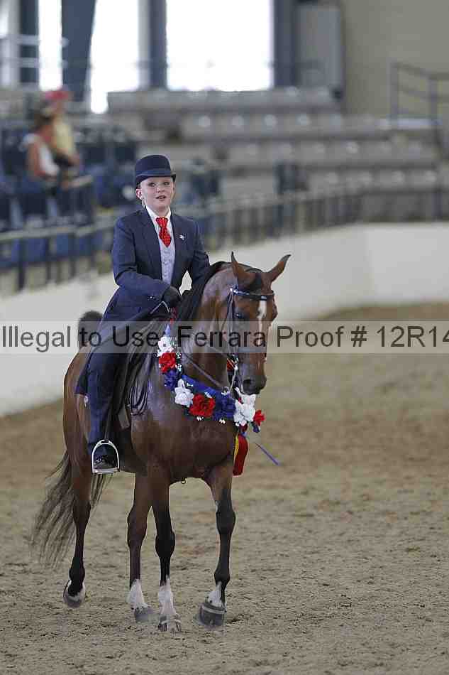 Proof Number 12r14_3038