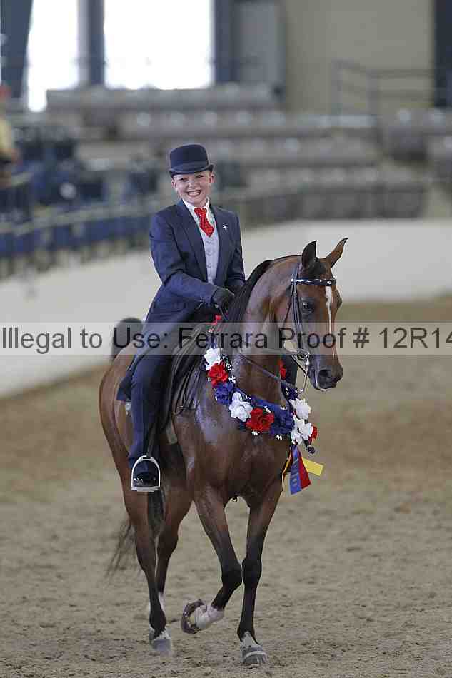 Proof Number 12r14_3039