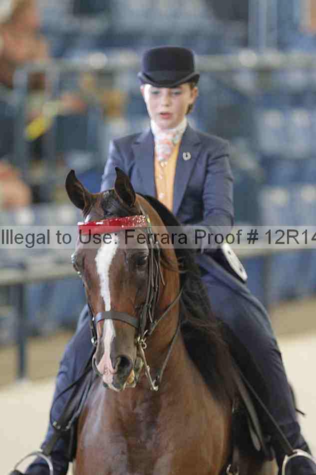Proof Number 12r14_3049