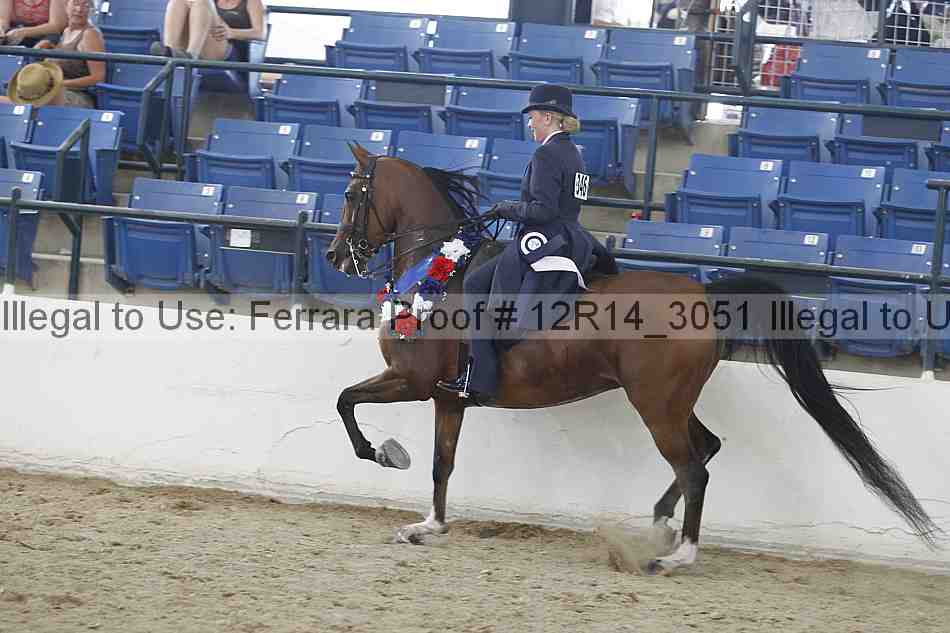 Proof Number 12r14_3051