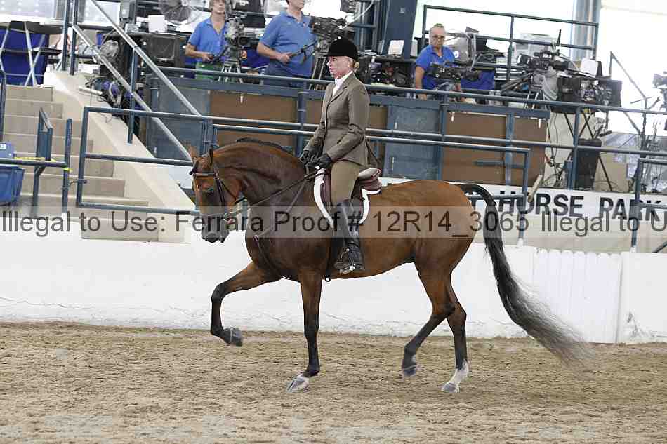 Proof Number 12r14_3065